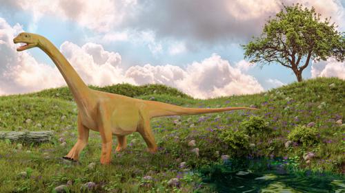 Camarasaurus preview image